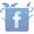 facebook blu icon